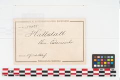 Foto von Bronzemehrkopfnadel (NHMW-PRAE-035773)